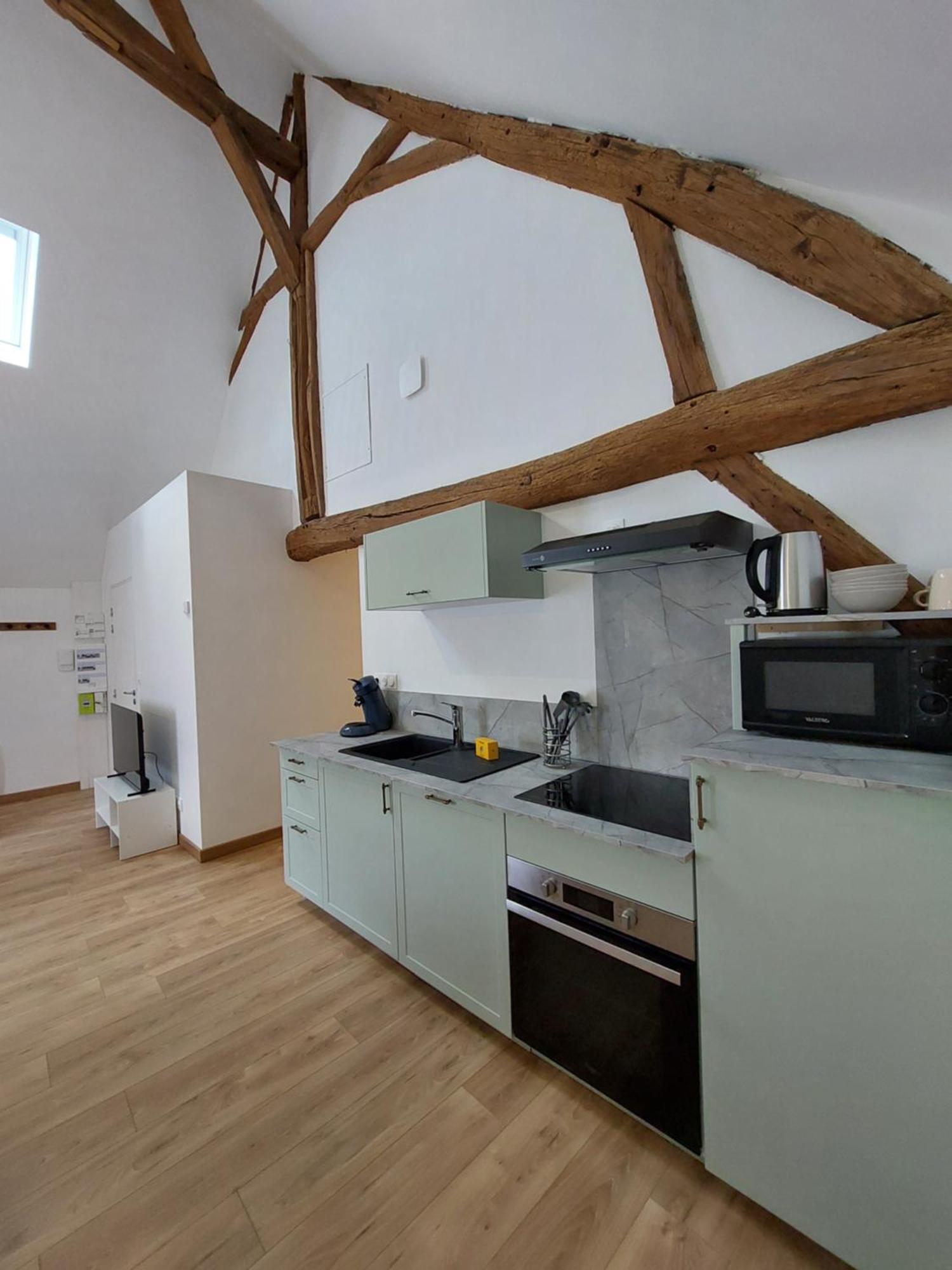 Appartements L'Hirondelle Beaugency Exterior foto