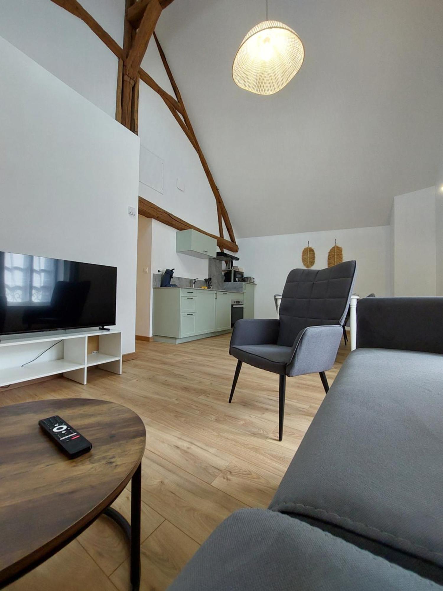 Appartements L'Hirondelle Beaugency Exterior foto