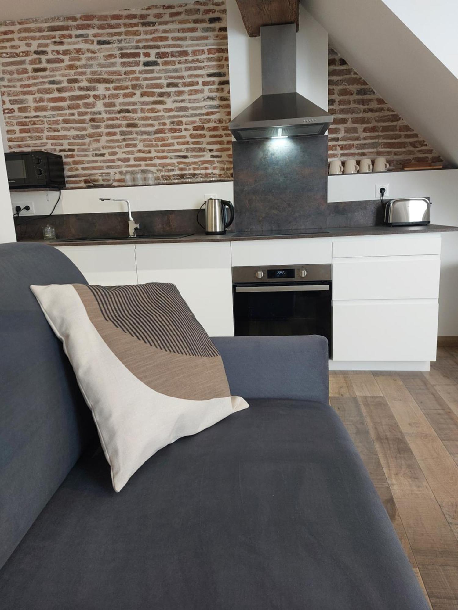 Appartements L'Hirondelle Beaugency Exterior foto